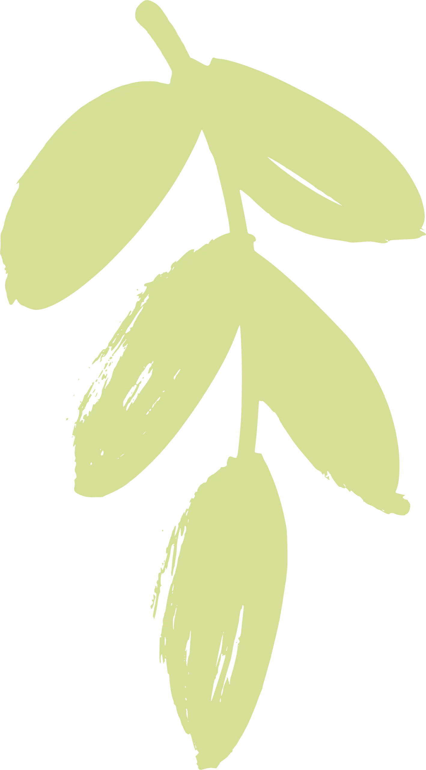 Camping-de-letang-Illustration-feuille-6