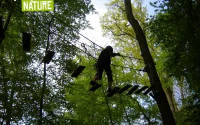 ANJOU SPORT NATURE- PARCOURS ACROBRANCHE