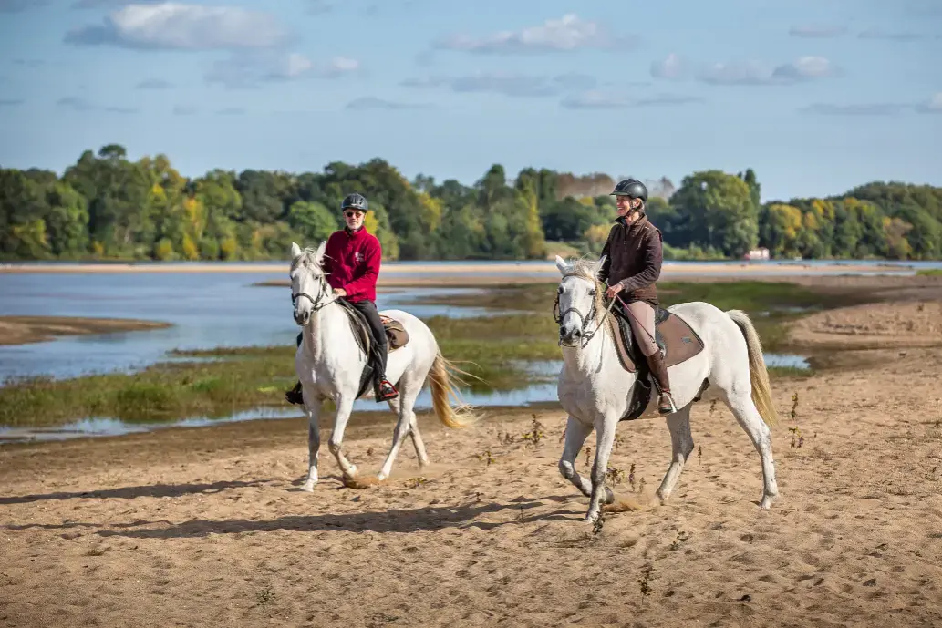 Balade_equestre_en_bord_de_Loire-AnjouTourisme