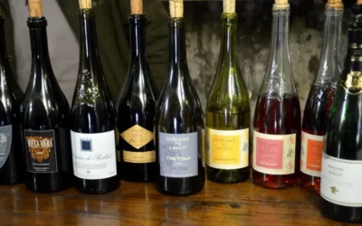 DOMAINE DE BABLUT