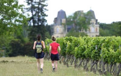DOMAINE DE LA TUFFIÈRE