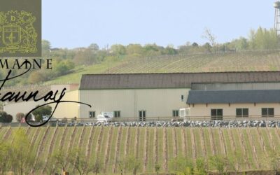 DOMAINE DELAUNAY