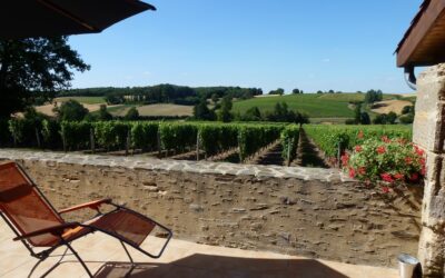 DOMAINE VITICOLE DES TROIS MONTS