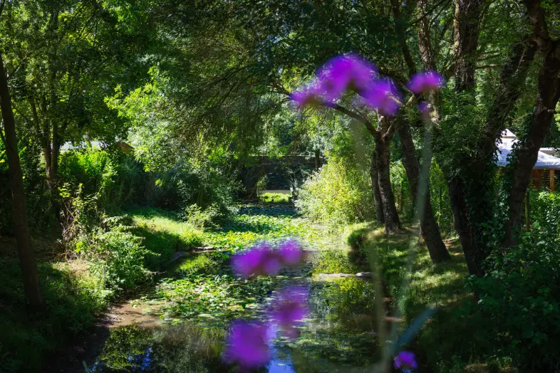 Instant nature, Camping de l'étang Brissac