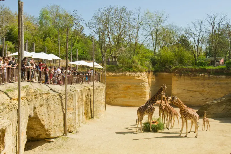 Le Bioparc (3)