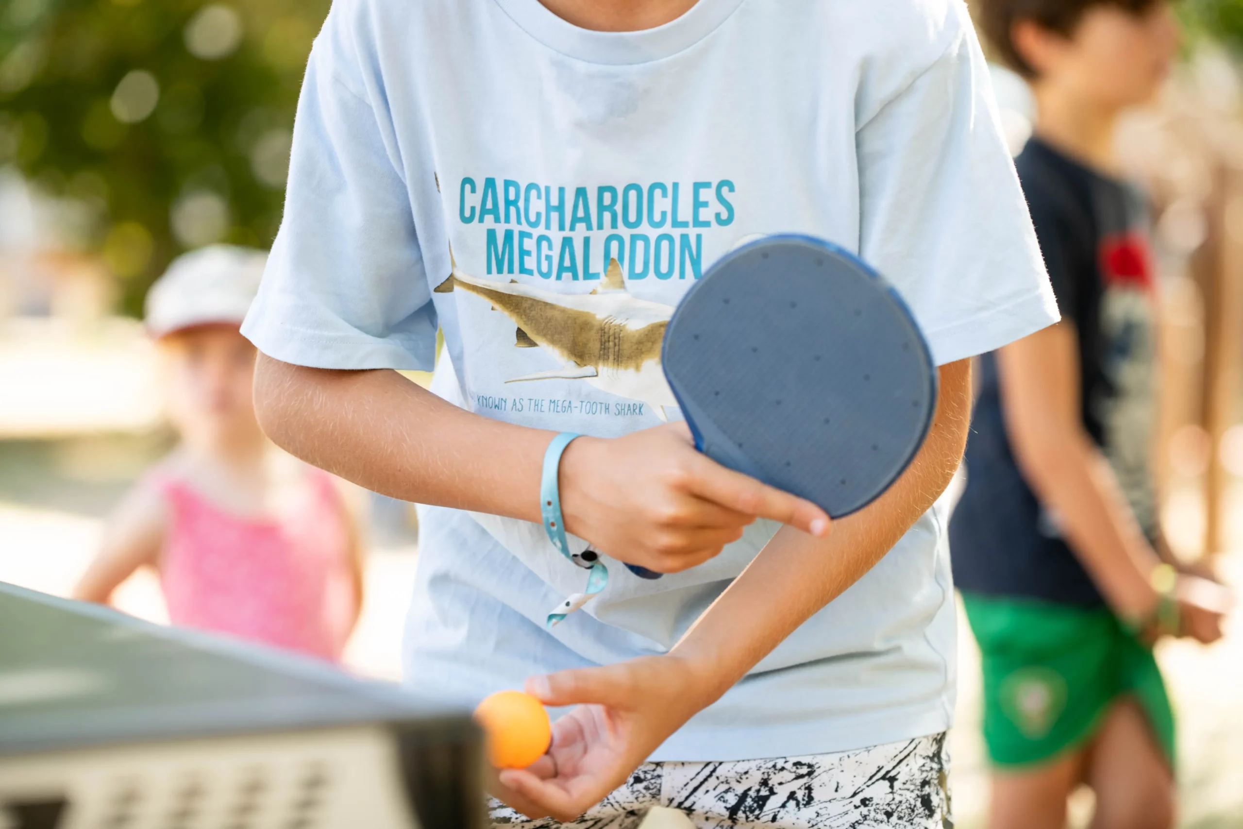 Camping 4 étoiles avec Piscines proche d'Angers