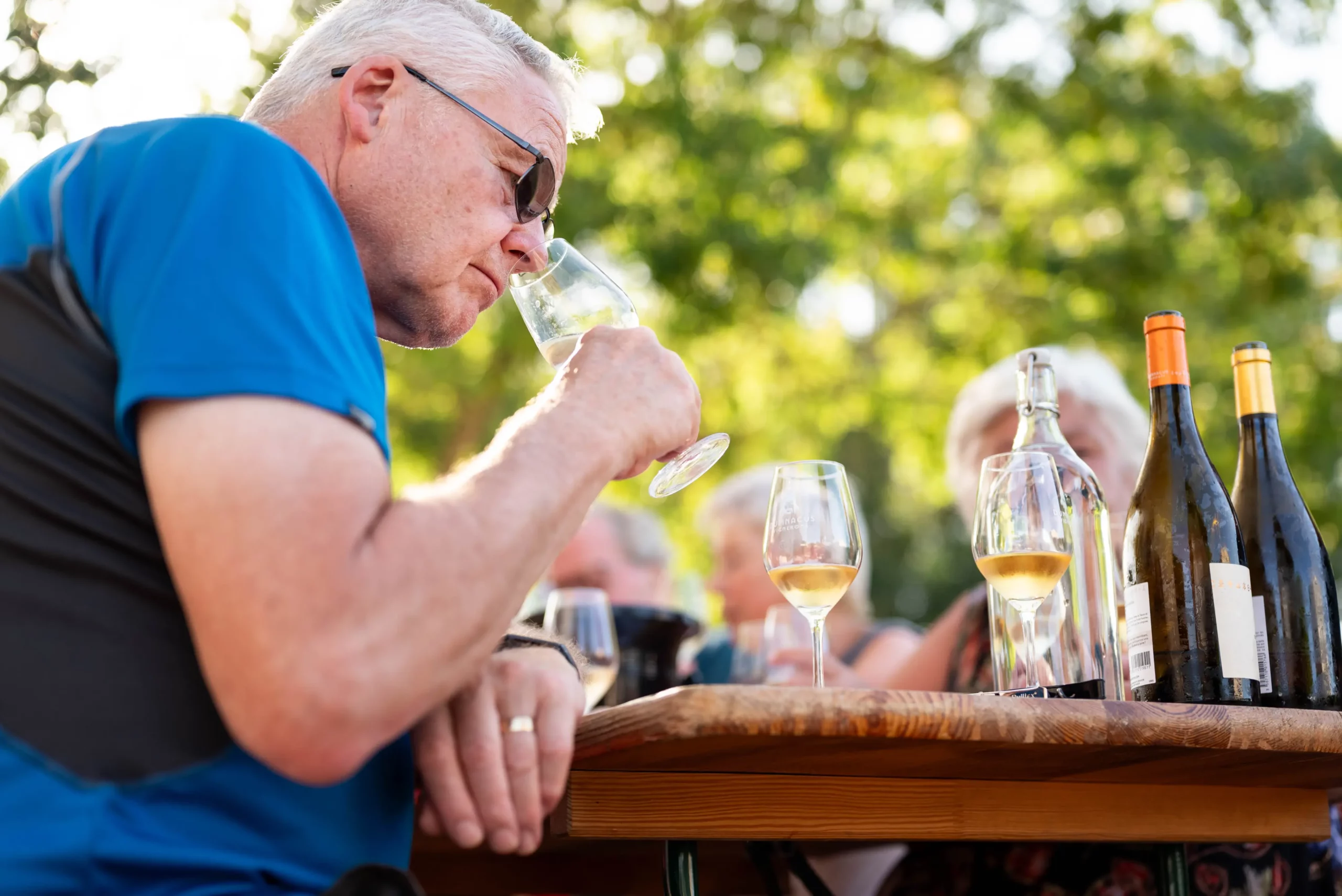 Experience touristique dans les vignobles
