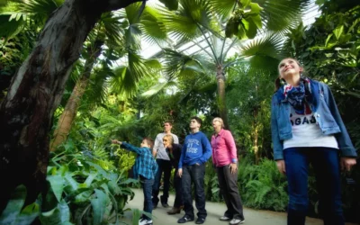 Terra Botanica