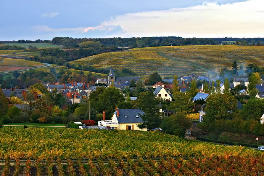 Patrimoine naturelle près des vignobles