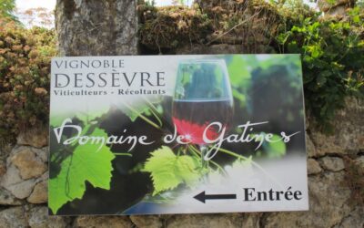 DOMAINE VITICOLE DE GATINES