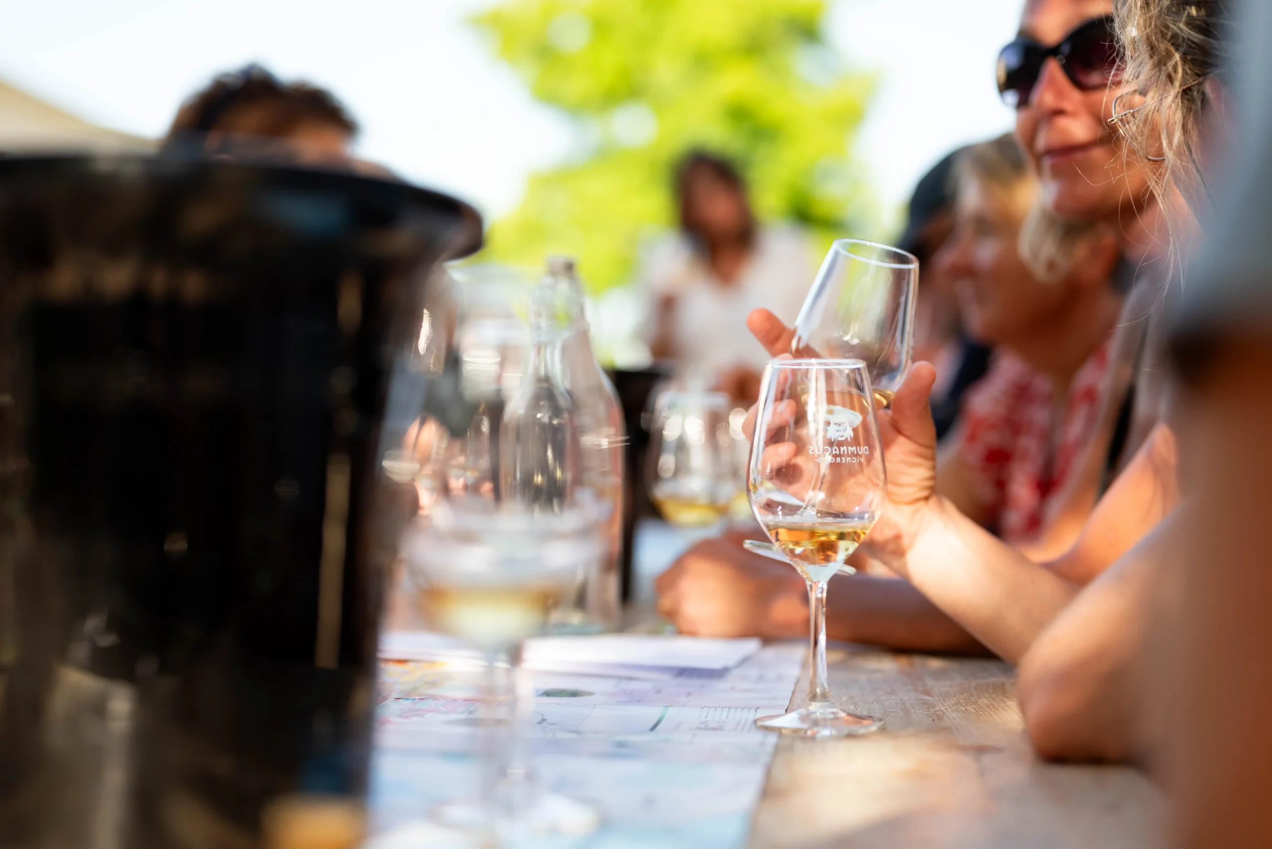 Dégustation Vins au Camping de l'étang Brissac