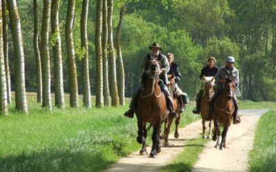 CIRCUIT EQUESTRE BRISSAC LOIRE AUBANCE N°1