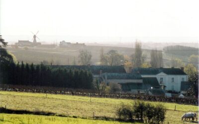 CIRCUIT DE LA FORET DE BRISSAC