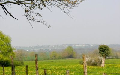 DE VALLONS EN PLATEAUX