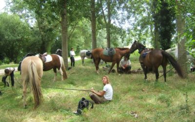 LES RENARDIÈRES
