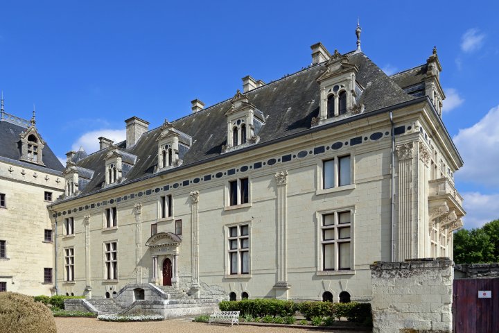 chateau de brézé