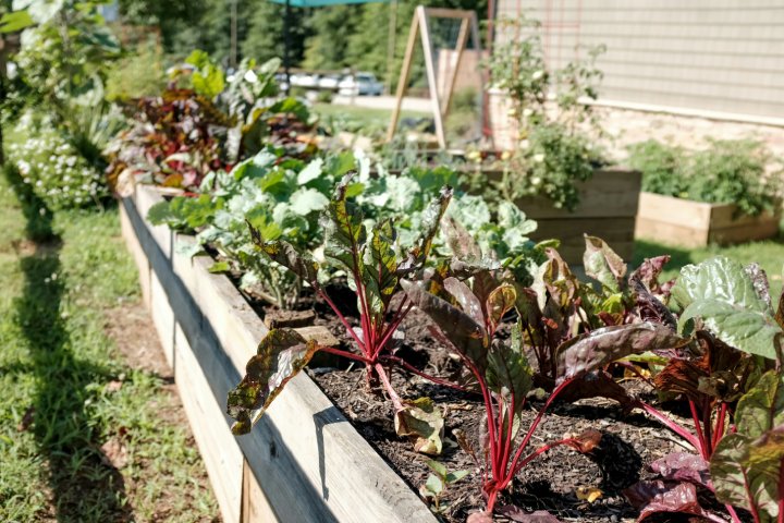 jardin puygirault